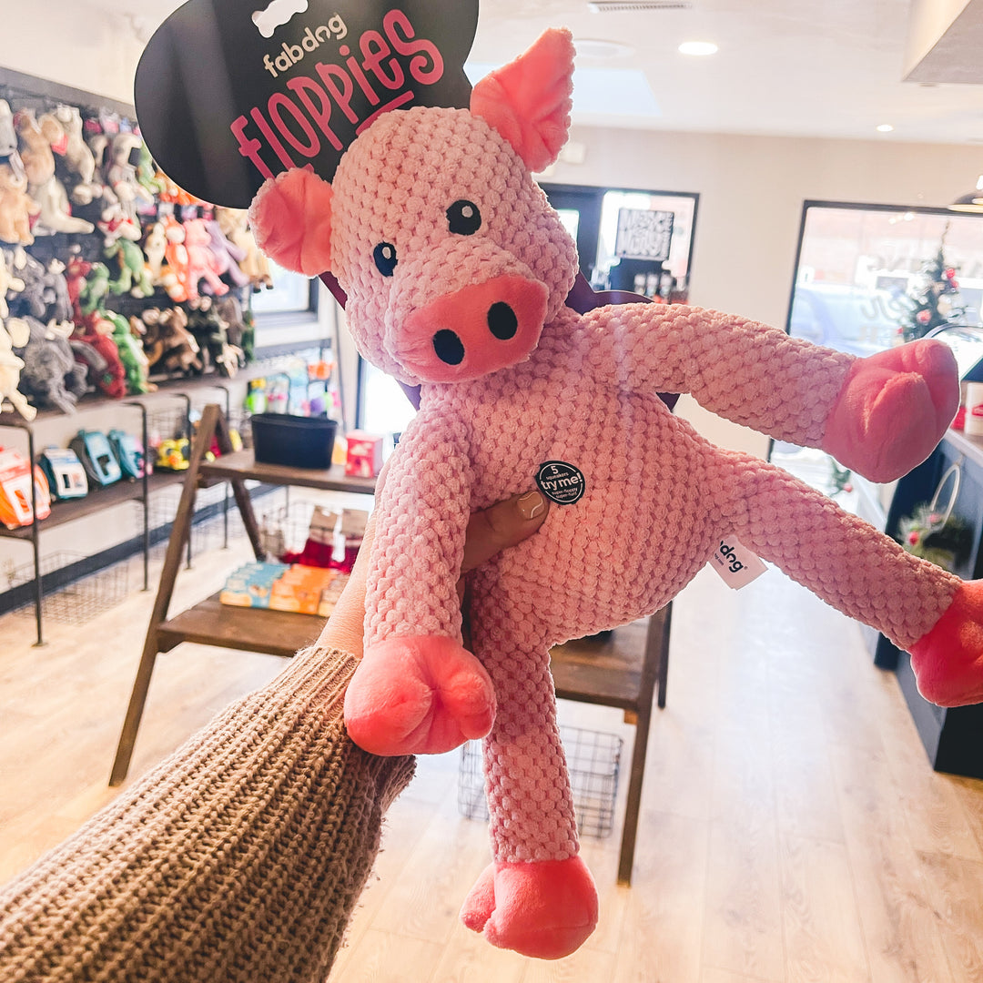 Lg Floppy Pig | FabDog