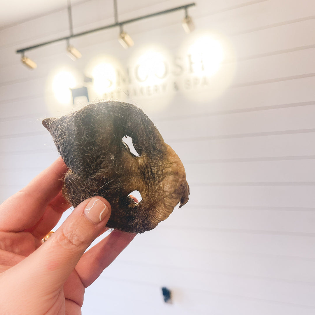 Pig Snout